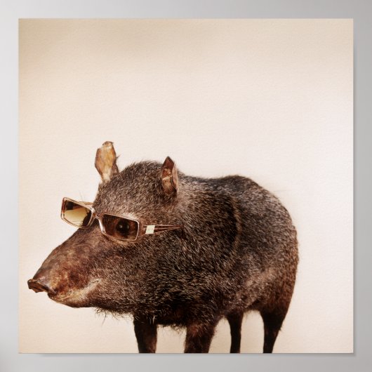 En jij ook? poster (Voorkant)