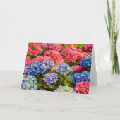 en kleurrijke hydrangea Flowers Art Kaart (Voorkant)