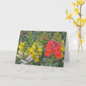 en kleurrijke Snapdragon Flower Art Kaart (Gele Bloem)