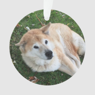 En Mémoire Amoureuse - Ornement photo pour animaux