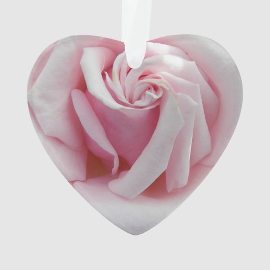 En Mémoire Amoureuse Rose Coeur En Forme (dos)