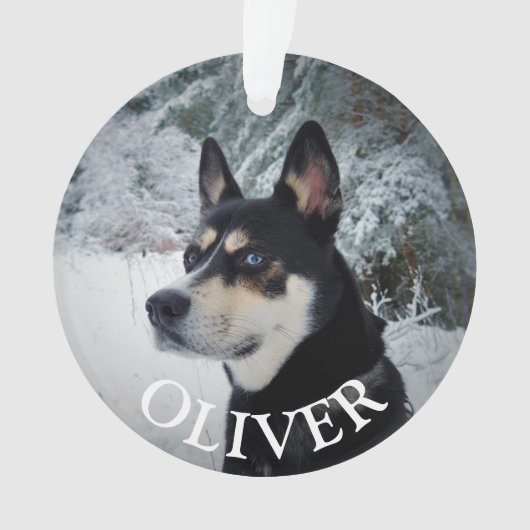 En mémoire de chien animal de compagnie mémorial K (devant)