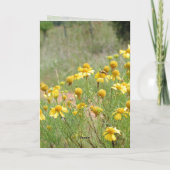 En mémoire de votre carte grand-mère par Janz (Dos)