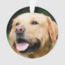 En mémoire - Médaillon personnalisable Gold Lab