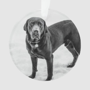 En mémoire - Mémoire personnalisable Black Lab