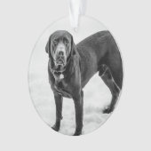 En mémoire - Memorial personnalisable Black Lab (devant)