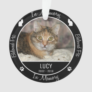 En mémoire - Perte de chat - Photo personnalisée /