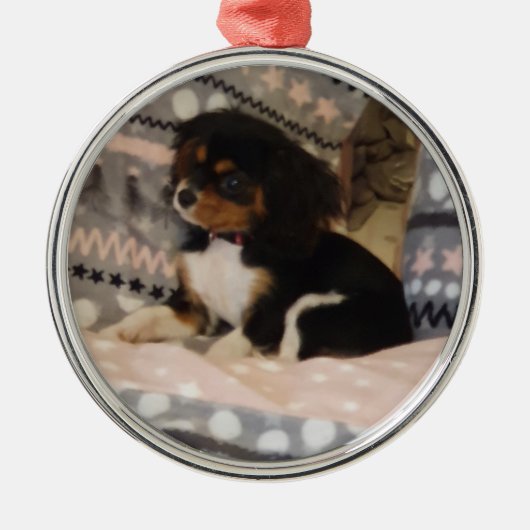 En Métal Ornement arrondi haut de gamme (Devant)