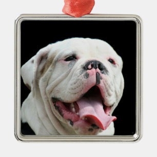 En Métal Ornement blanc de bouledogue