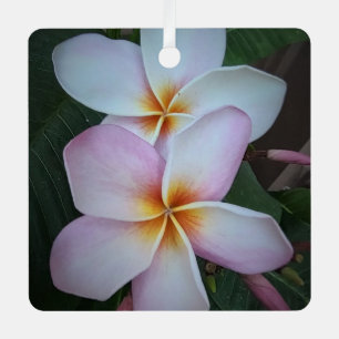 En Métal Ornement Carré Plumeria rose