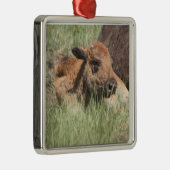 En Métal Ornement de Buffalo de bébé (Droite)