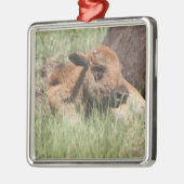 En Métal Ornement de Buffalo de bébé (Gauche)