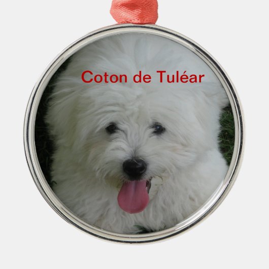 En Métal Ornement de Tulear de coton (Devant)