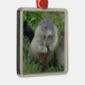 En Métal Ornement des marmottes (Droite)
