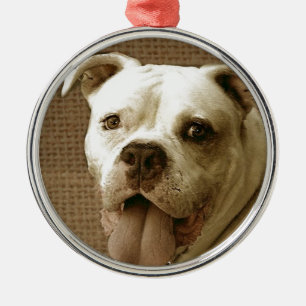 En Métal Ornement rond de bouledogue américain