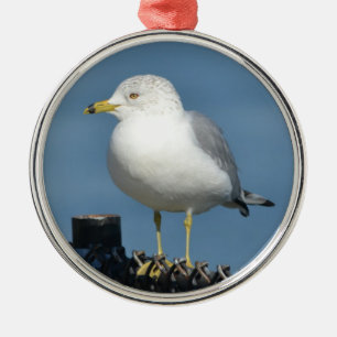 En Métal Ornement Seagull
