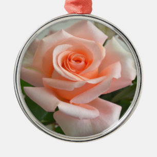 En Métal Un bel ornement rose rose Premium