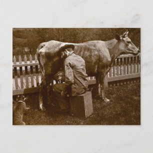 En Nicodemus, de kat werd door Wayside gevleid Briefkaart