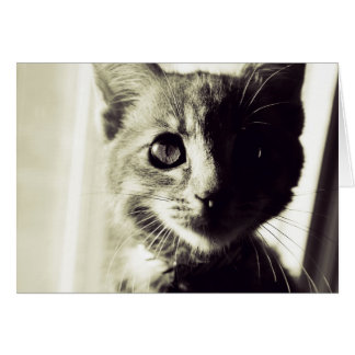 En noir et blanc large