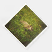 En Papier Marmotte de fond dans une serviette de campagne (Coin)