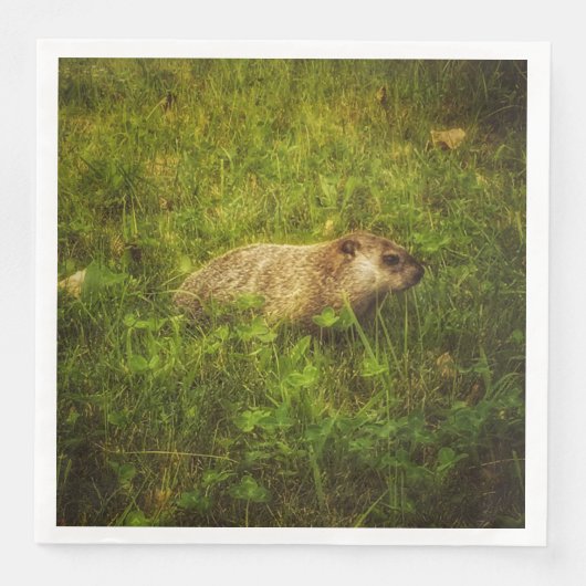 En Papier Marmotte de fond dans une serviette de campagne (Devant)