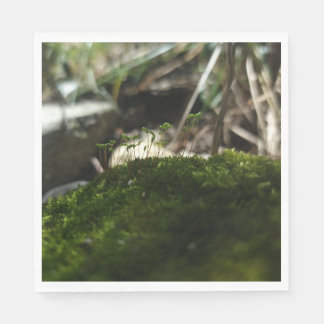 En Papier Petit monde de mousse – Serviette de photographie