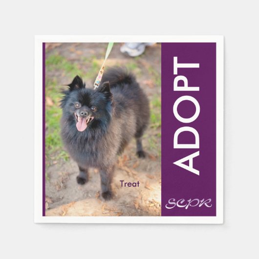 En Papier Serviette (Devant)