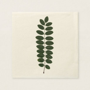 En Papier Serviette de feuille d'acacia