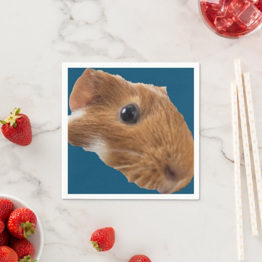 En Papier serviette de table (En situation)