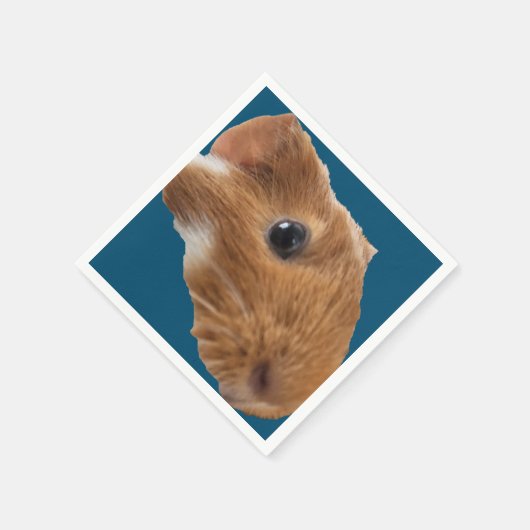 En Papier serviette de table (Coin)