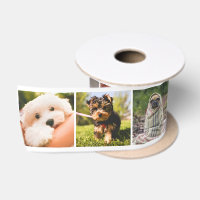 Chiens mignons OU vos photos ruban personnalisé
