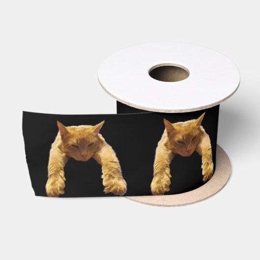 En Satin Gingembre Lazy Chat, ruban satiné (Bobine)