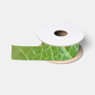 En Satin Photo de feuille sur le ruban