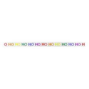 En Satin Ruban Ho Ho Ho arc-en-ciel