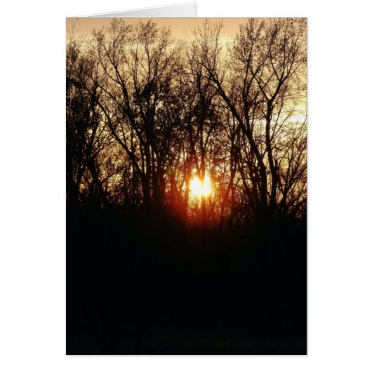 En Tant Que Soleil (Devant)