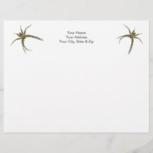 En-tête De Lettre Araignée