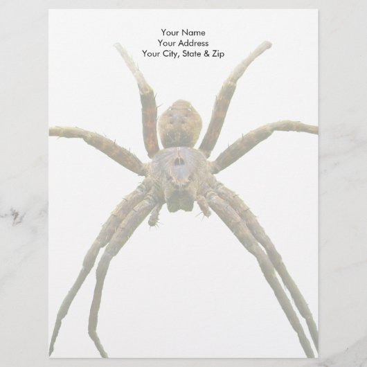 En-tête De Lettre Araignée (Devant)