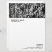 En-tête De Lettre Avec Motif En-tête grande image - Grass Abstrait 02 (Devant / Derrière)