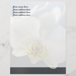 En-tête De Lettre Avec Motif Fleur d'orchidée blanche