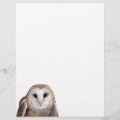 En-tête De Lettre Barn Owl Photo Note Papier en-tête (Devant)