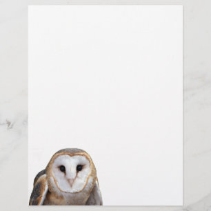 En-tête De Lettre Barn Owl Photo Note Papier en-tête