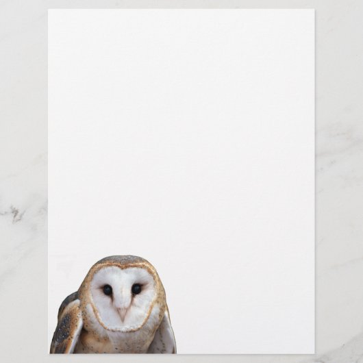 En-tête De Lettre Barn Owl Photo Note Papier en-tête (Devant)