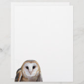 En-tête De Lettre Barn Owl Photo Note Papier en-tête (Devant / Derrière)