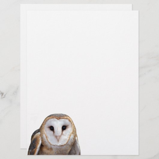 En-tête De Lettre Barn Owl Photo Note Papier en-tête (Devant / Derrière)