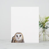 En-tête De Lettre Barn Owl Photo Note Papier en-tête (Debout devant)
