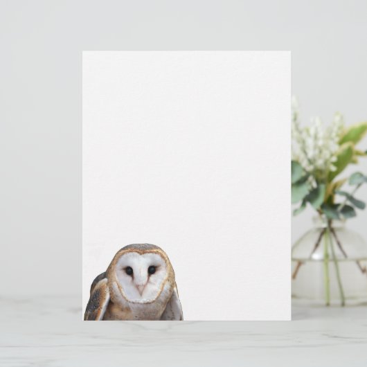 En-tête De Lettre Barn Owl Photo Note Papier en-tête (Debout devant)