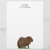 En-tête De Lettre Capybara (Devant)