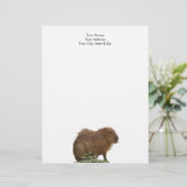 En-tête De Lettre Capybara (Debout devant)