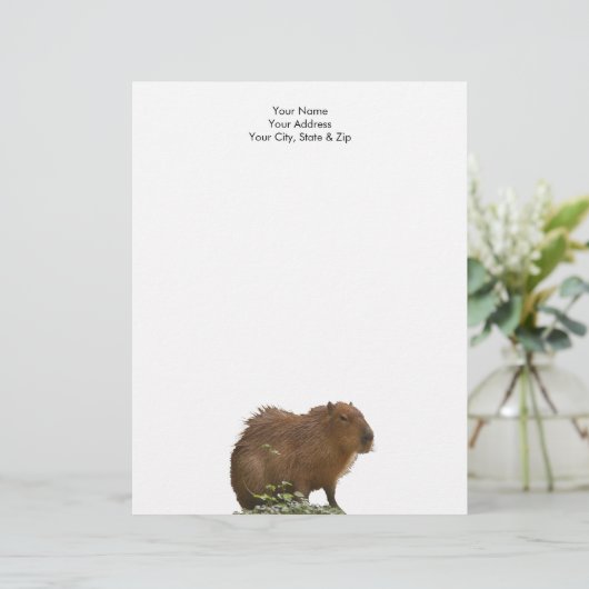 En-tête De Lettre Capybara (Debout devant)