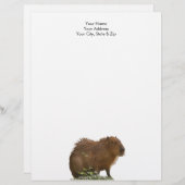 En-tête De Lettre Capybara (Devant / Derrière)
